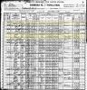 1900 US Census - Robertson Co